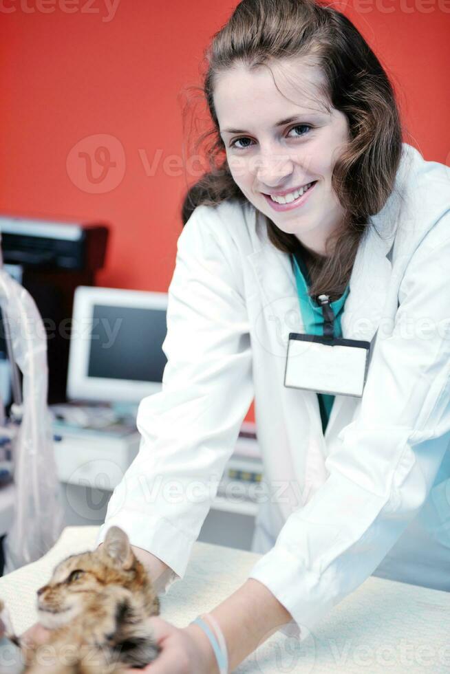 veterinario y asistente en una clínica de animales pequeños foto