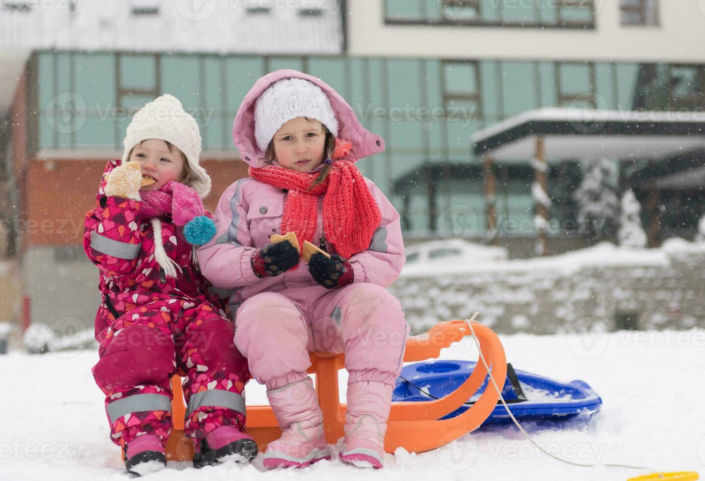 portrait of two little grils sitting together on sledges photo