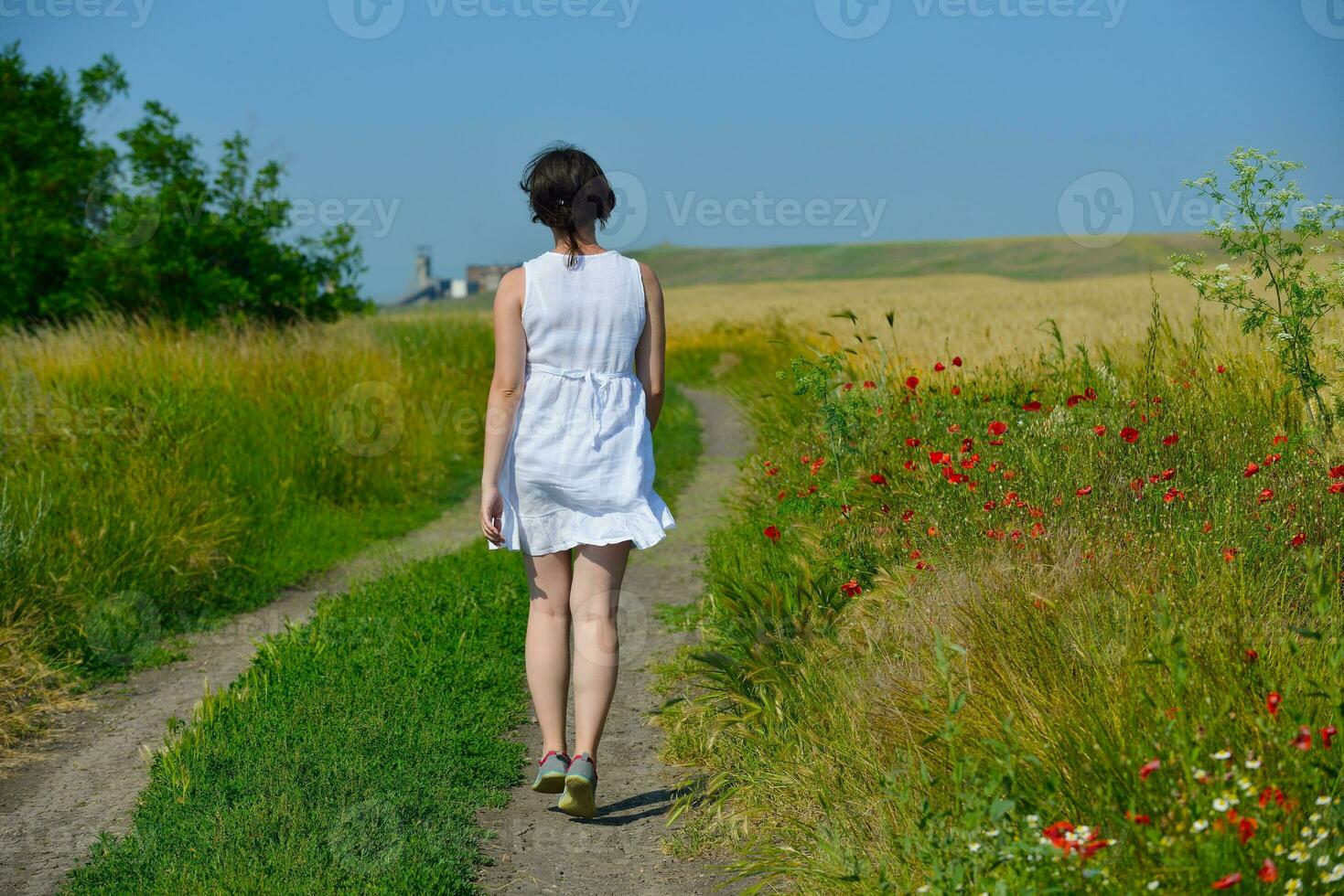 young woman in wheat field at summer photo