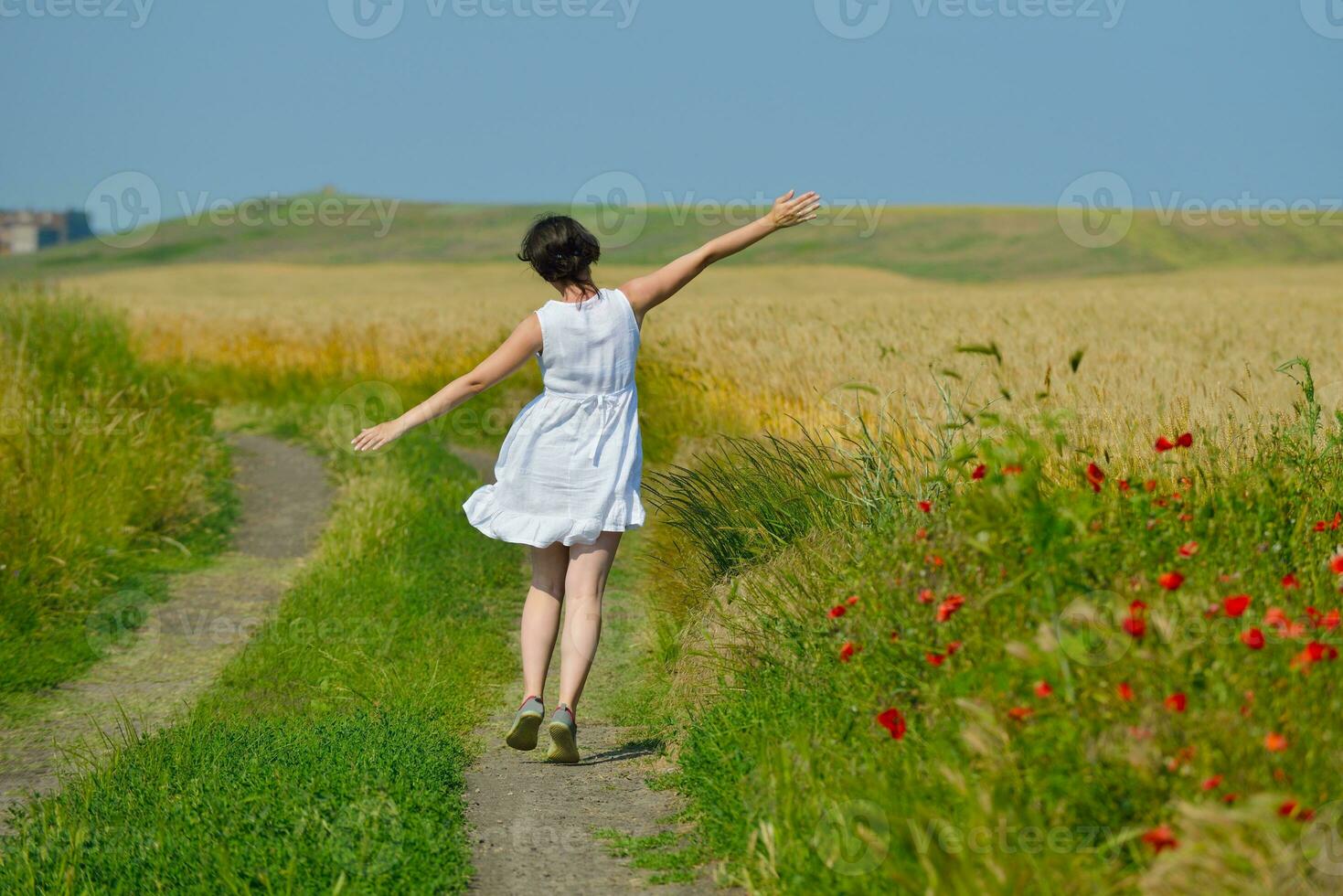 young woman in wheat field at summer photo