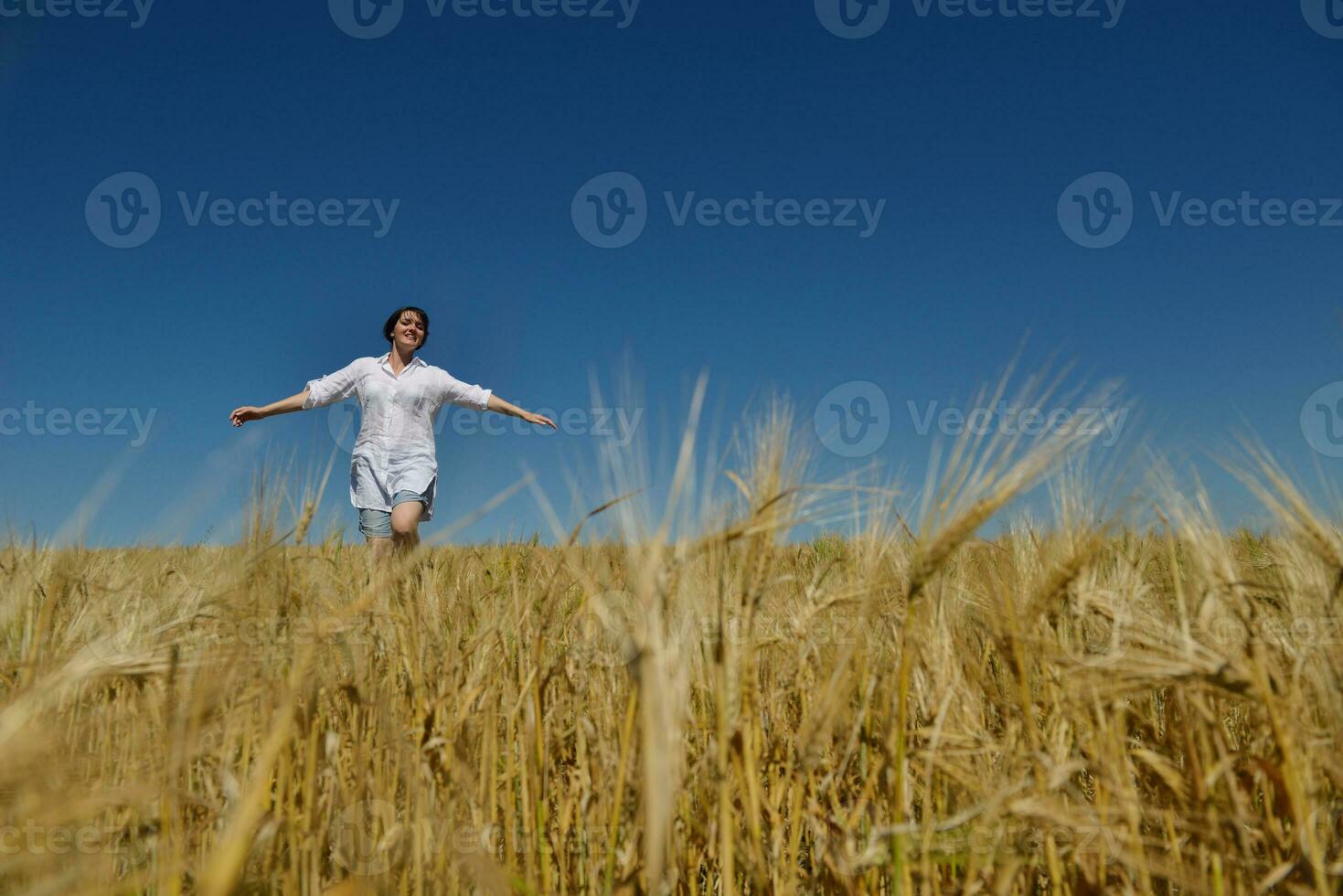 mujer joven en campo de trigo en verano foto