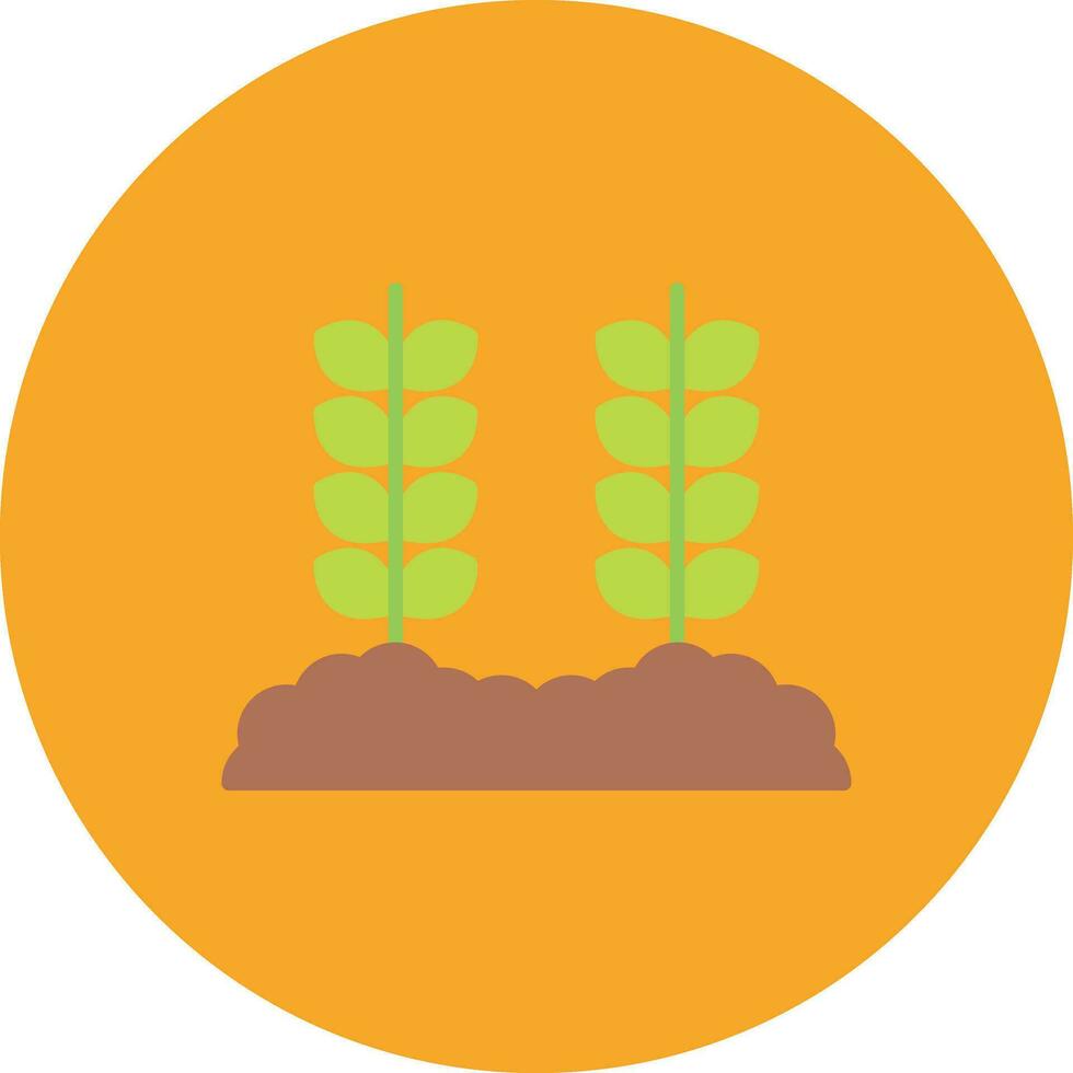 trigo plantación vector icono