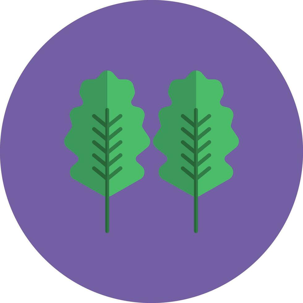 Oak Leaf Vector Icon