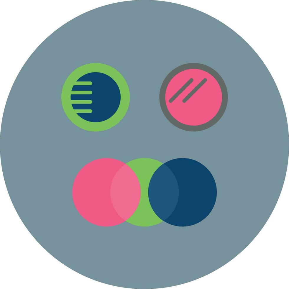 Camera Filter Vector Icon