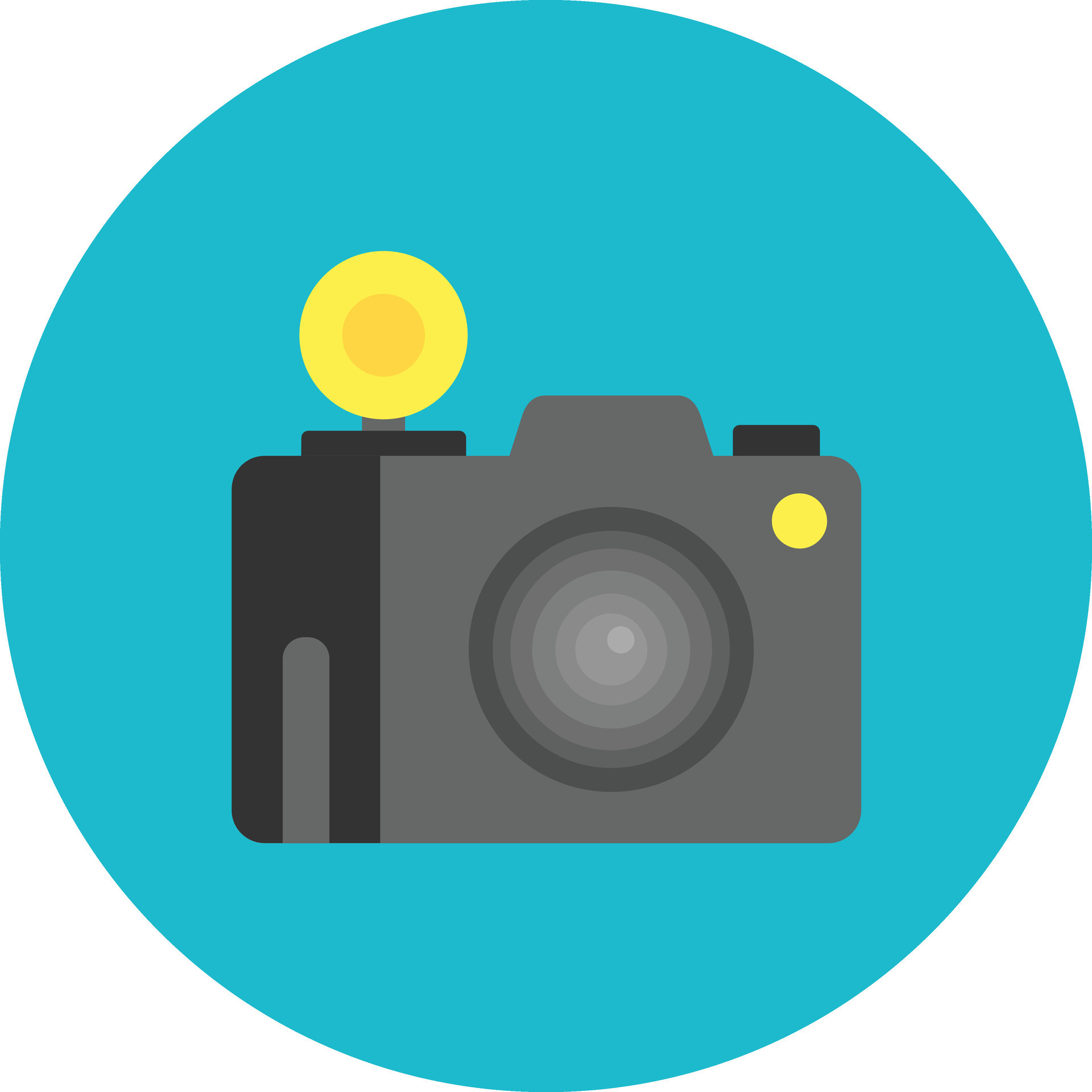 Flash Camera Vector Icon 31067263 Vector Art at Vecteezy