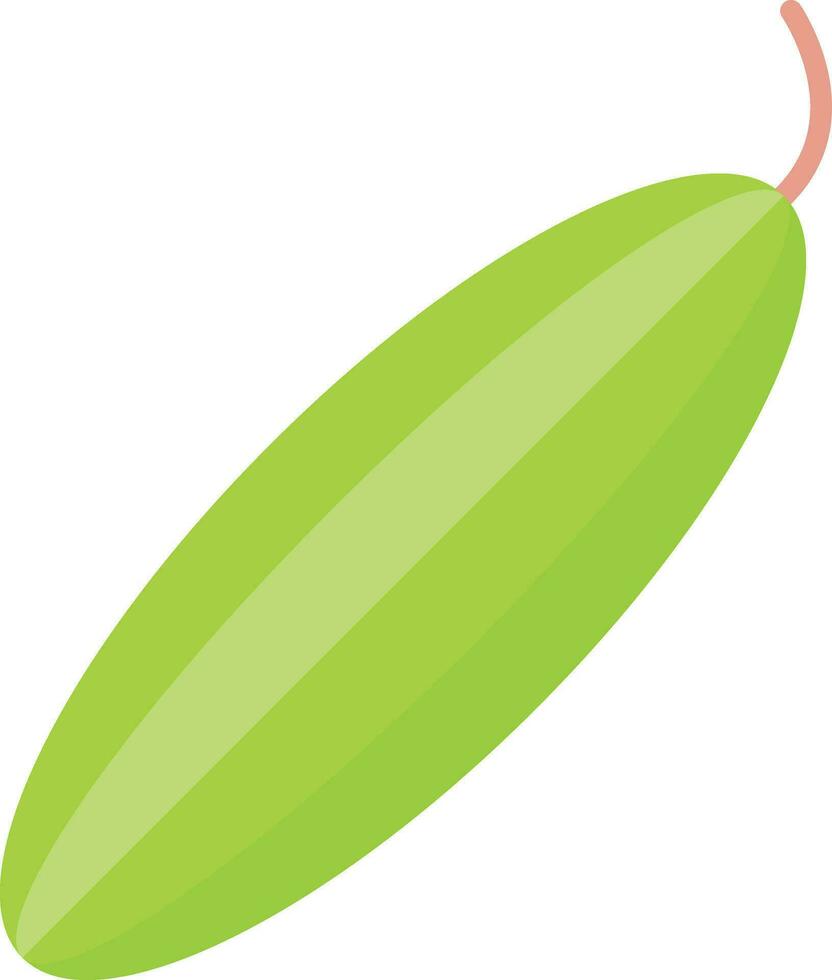 Cucumber Vector Icon