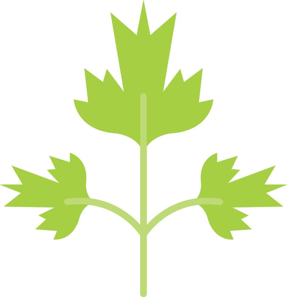 Parsley Vector Icon