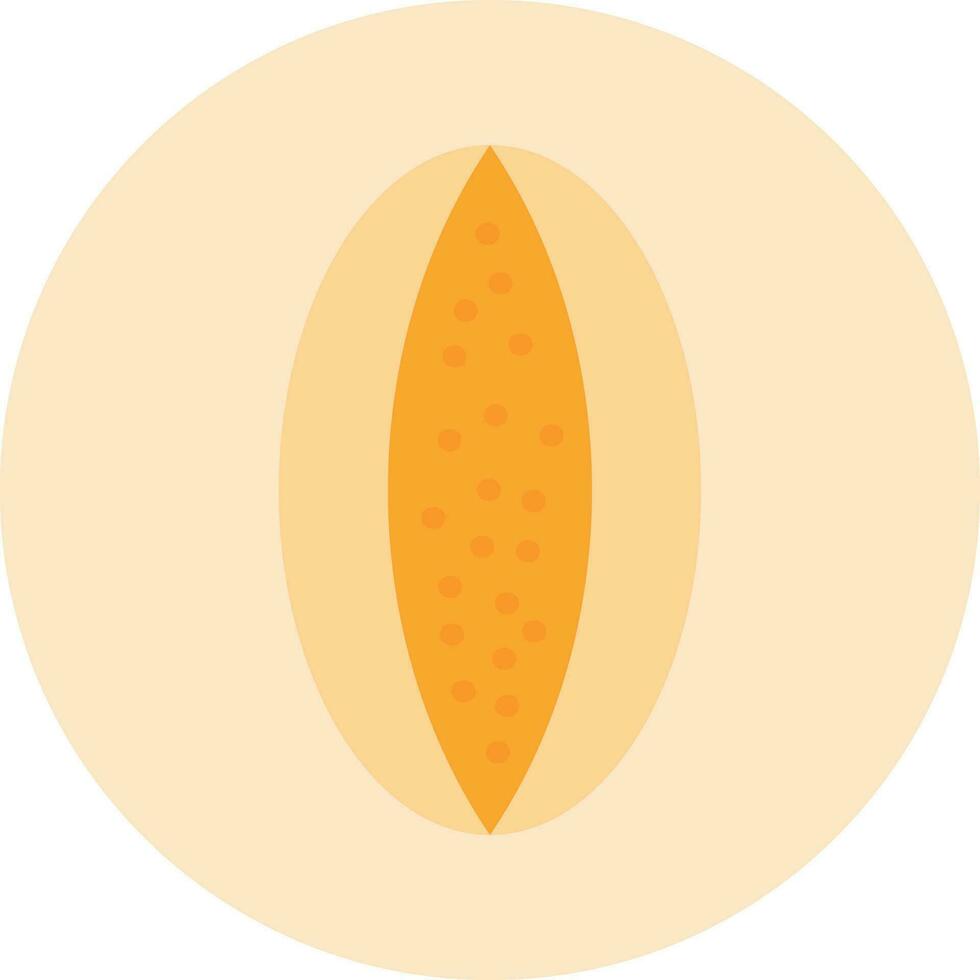 Rockmelon Vector Icon