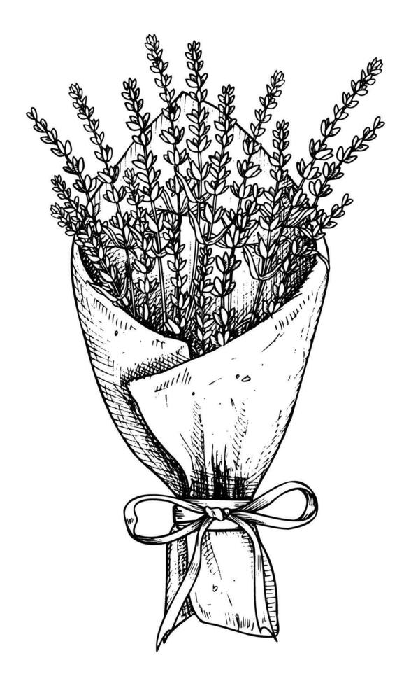 Bouquet of Lavender Flowers in paper with ribbon. Hand drawn black vector illustration on white isolated background for greeting cards or wedding invitations. Line art floral Province drawing