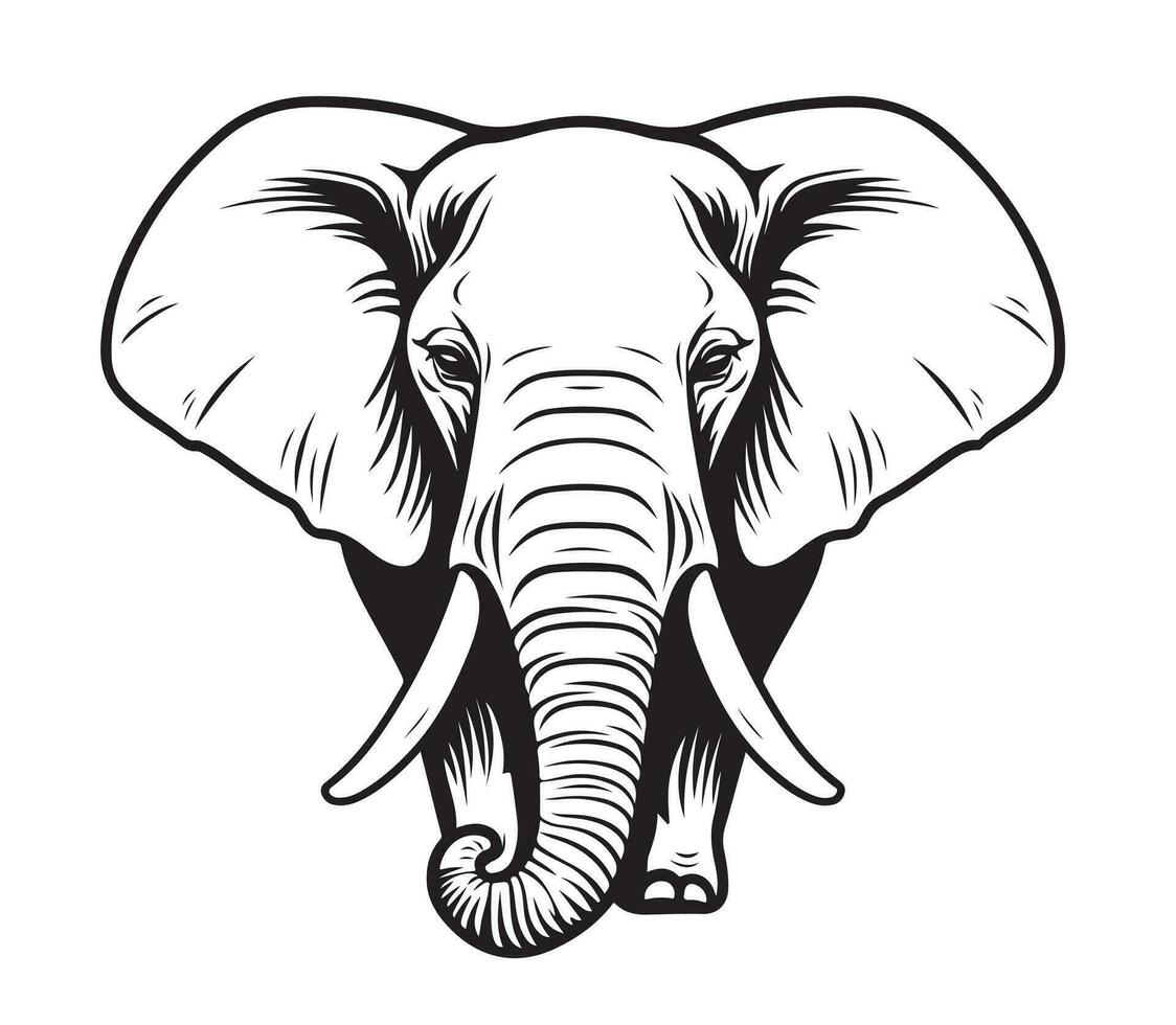 Elephant animal sketch hand drawn Vector illustration Safari