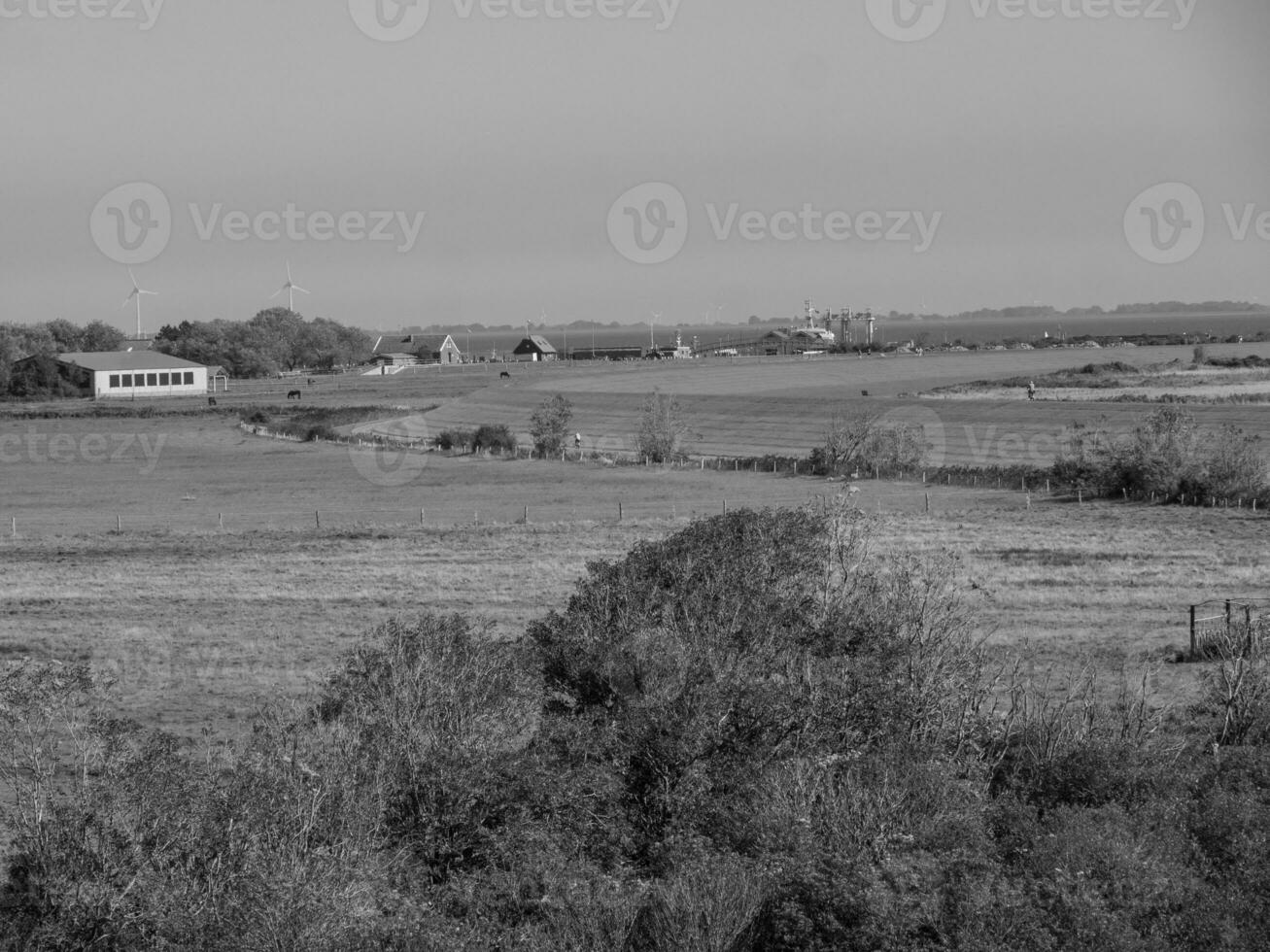 langeoog island in germany photo