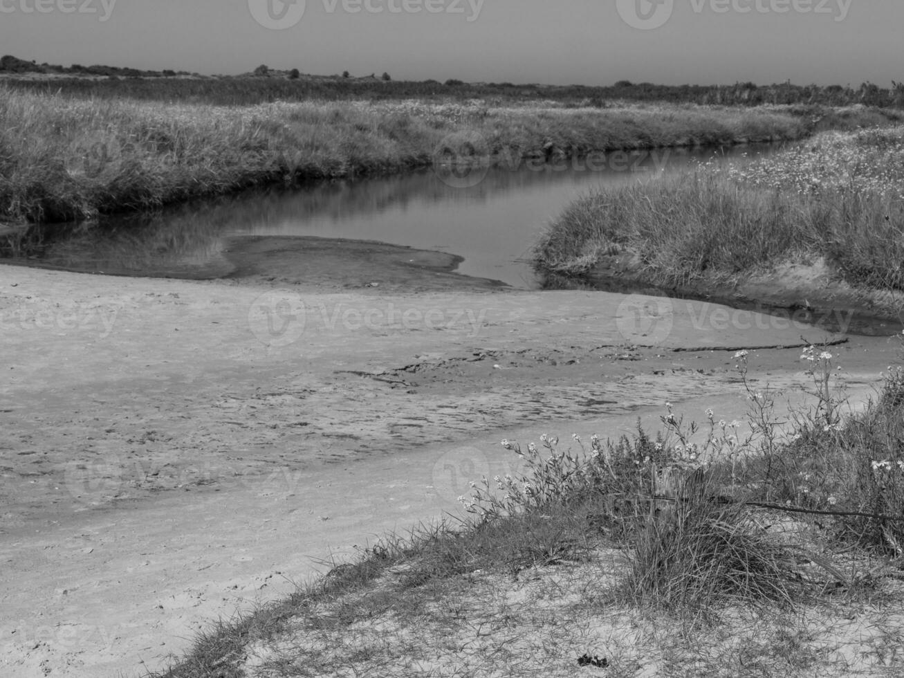 Langeoog island in the north sea photo