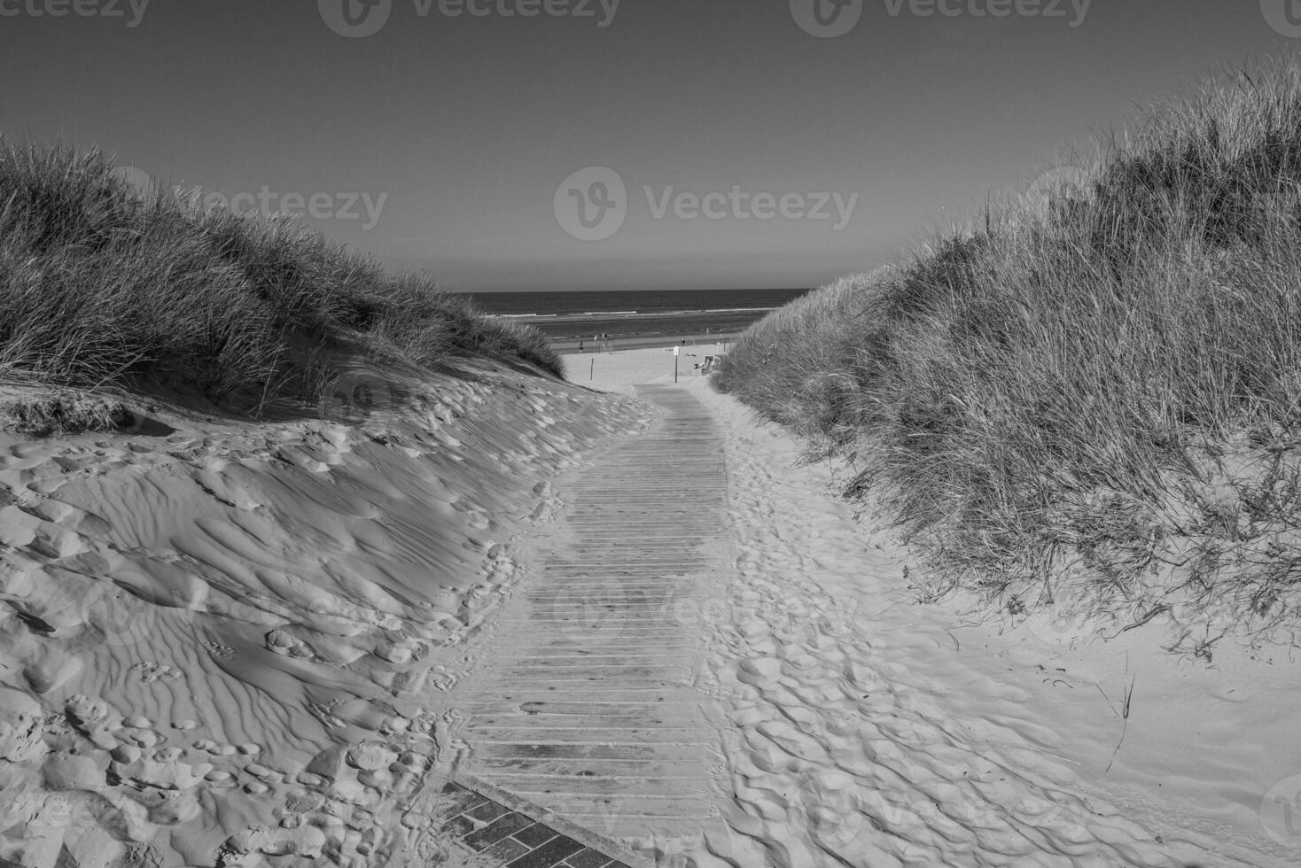 the beach of langeoog island photo