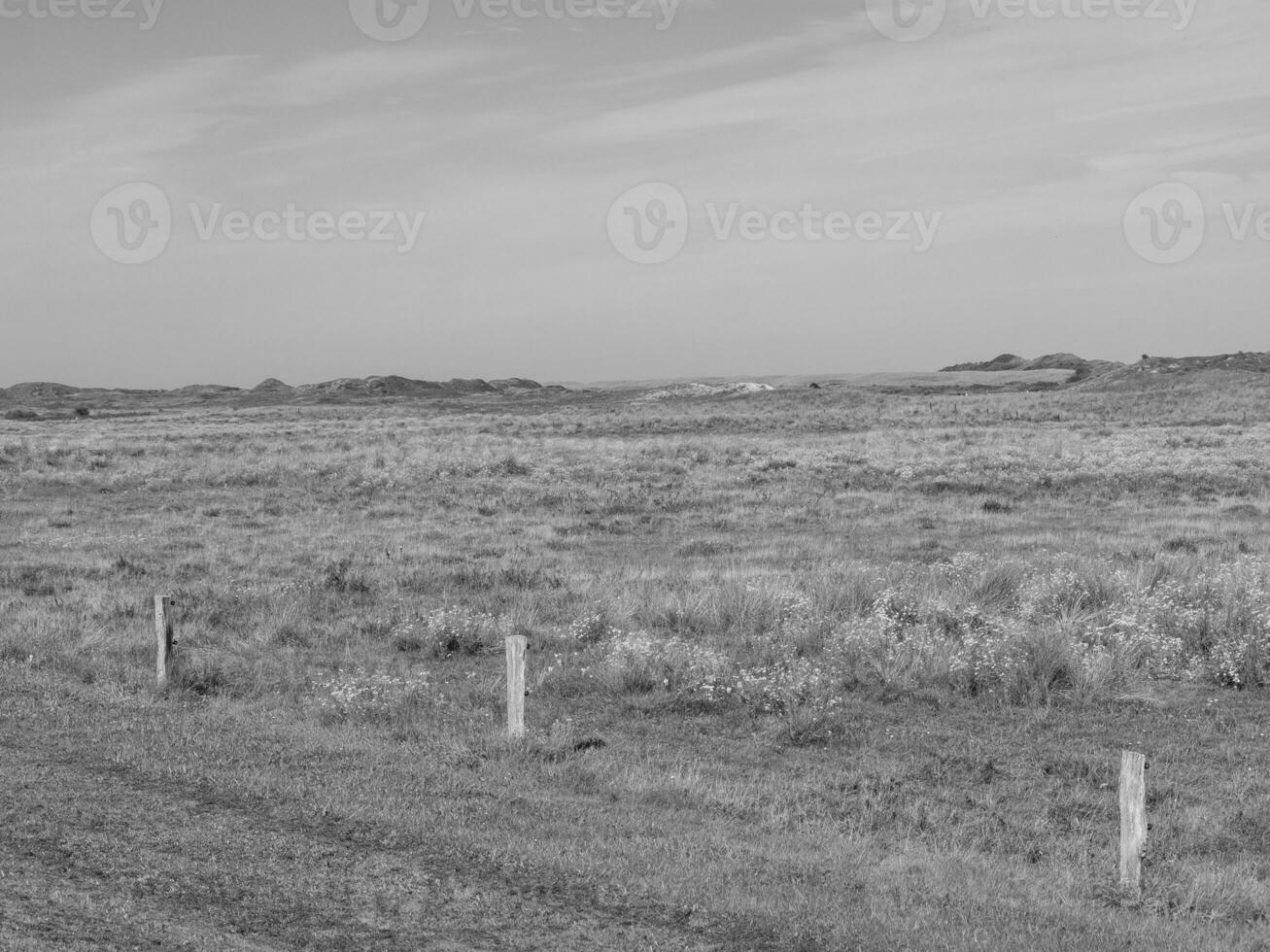 the island of langeoog in germany photo