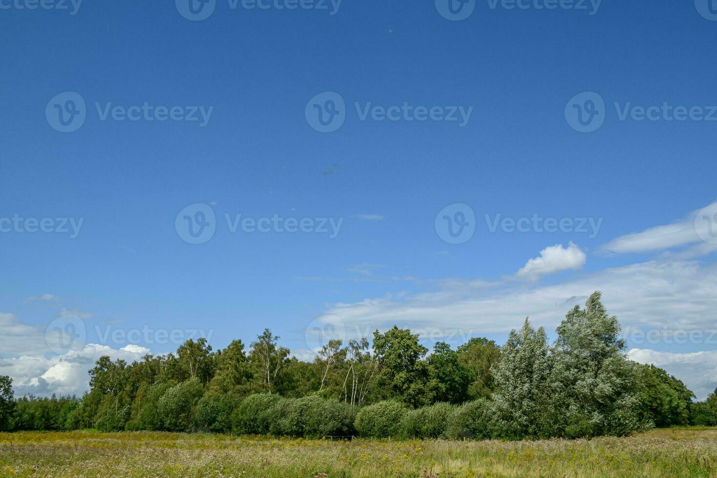 late summer in westphalia photo