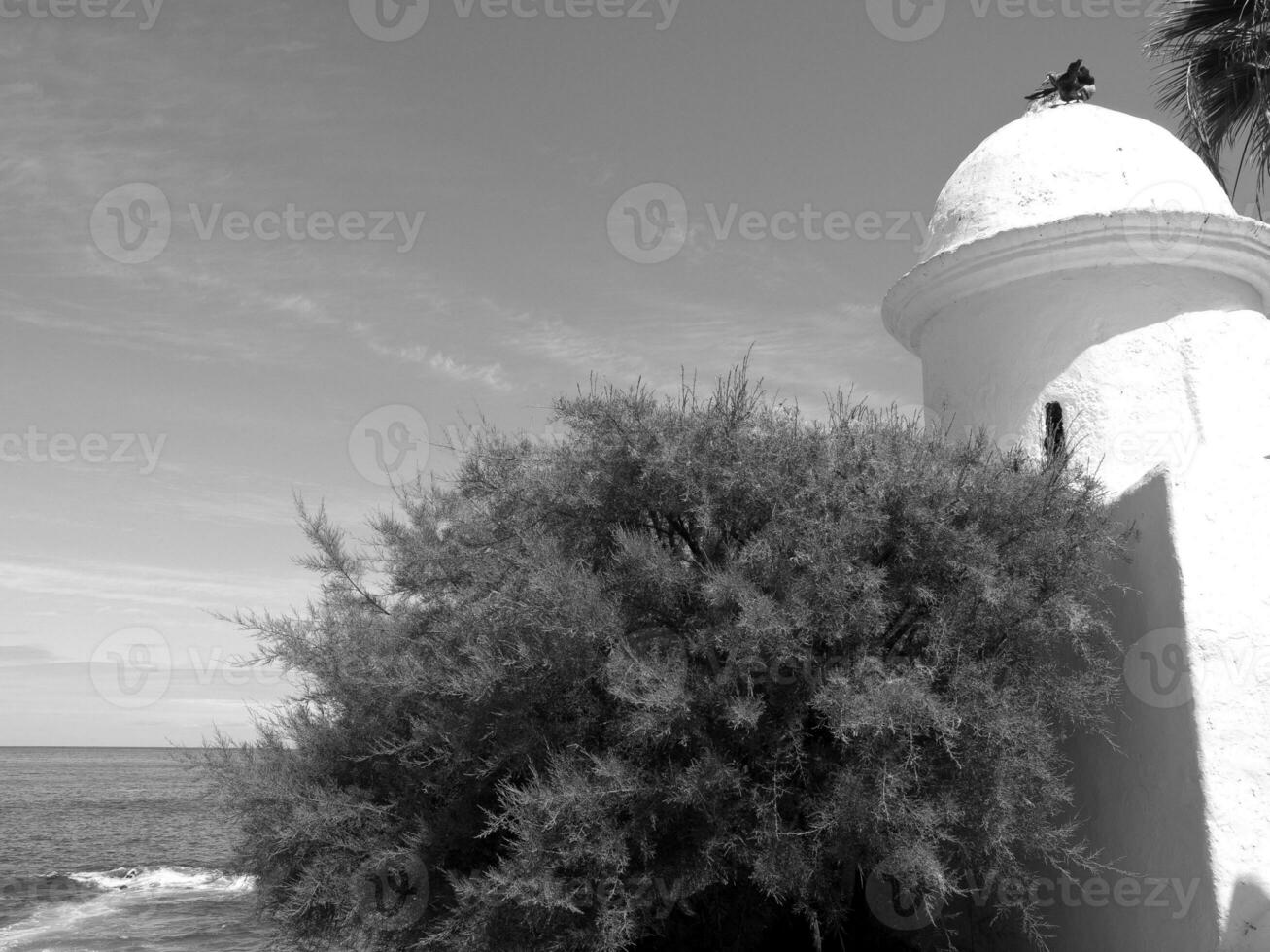 teneriffe island in spain photo