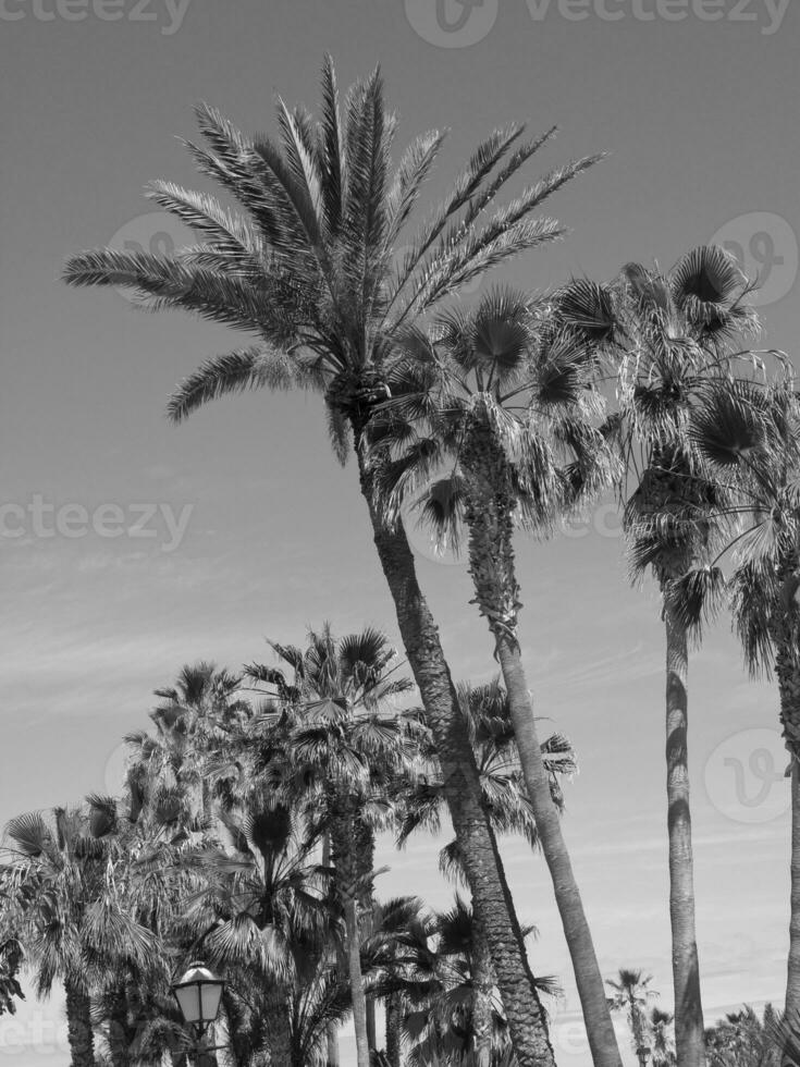 teneriffe island in spain photo