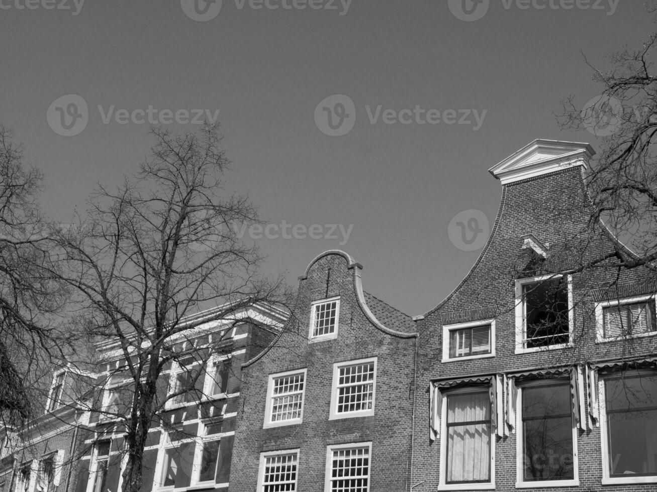 Haarlem in the netherlands photo