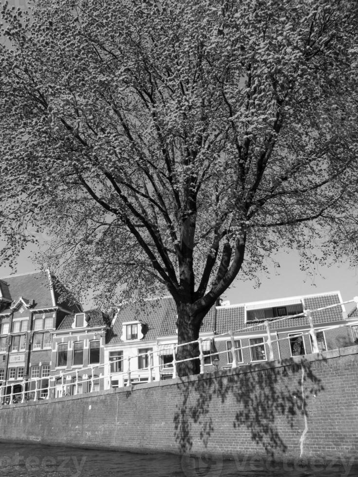 haarlem ciudad en el Países Bajos foto