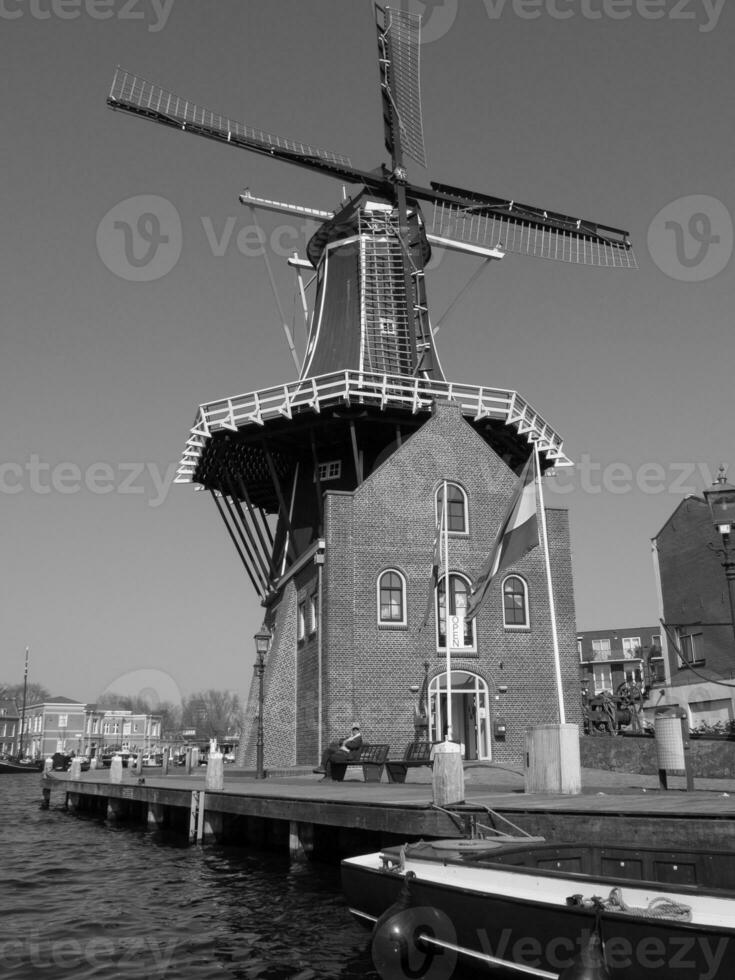haarlem city in the netherlands photo