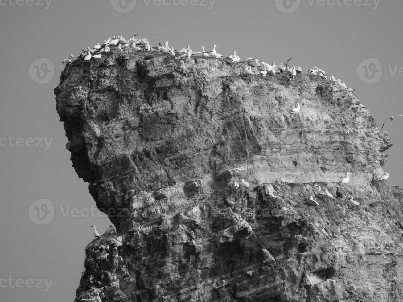Helgoland island in germany photo