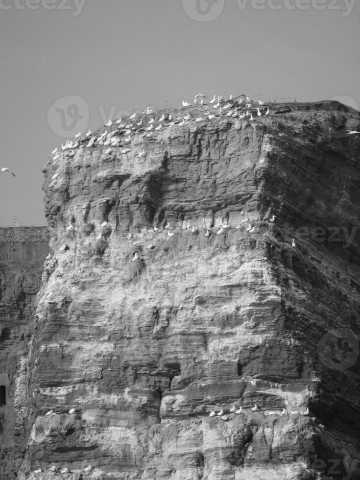 el alemán isla de helgolandia foto