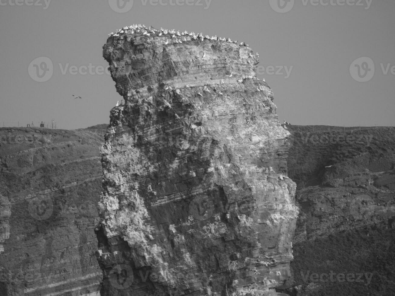 the german island of Helgoland photo