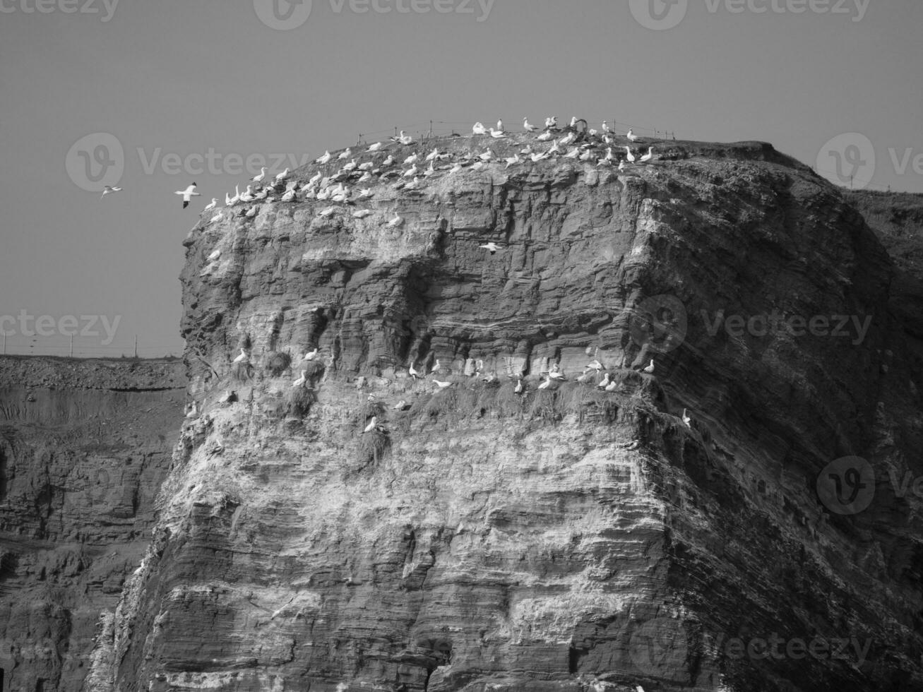 Helgoland island in the north sea photo