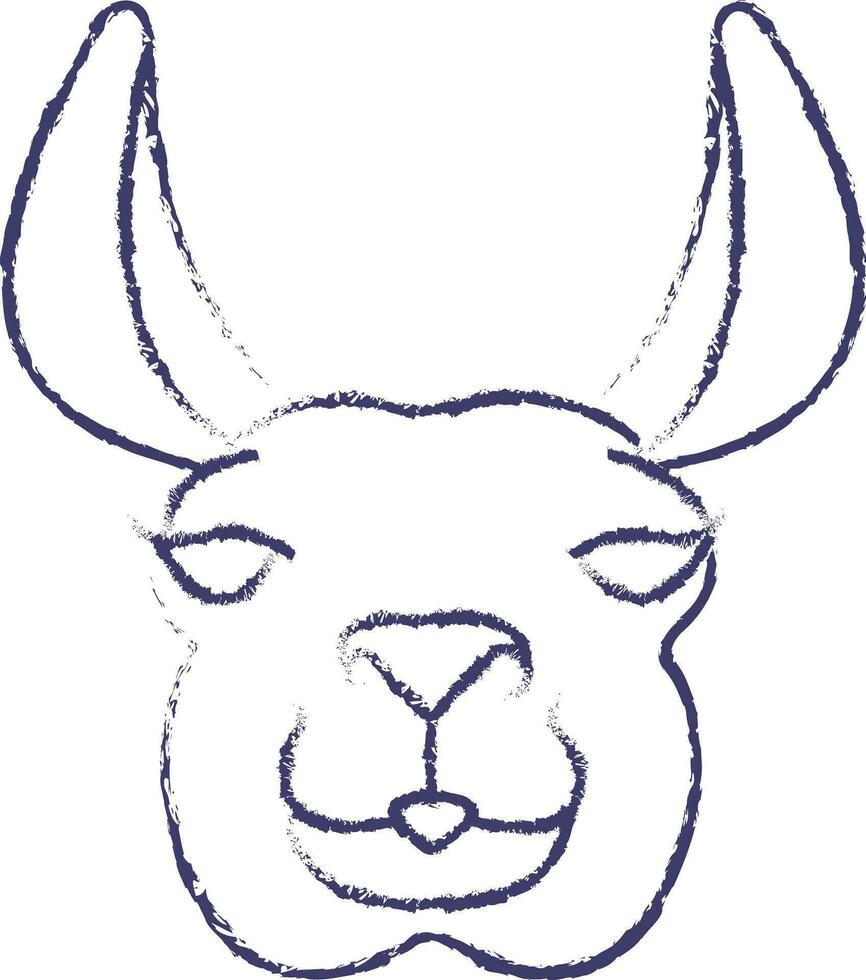 Llama face hand drawn vector illustration