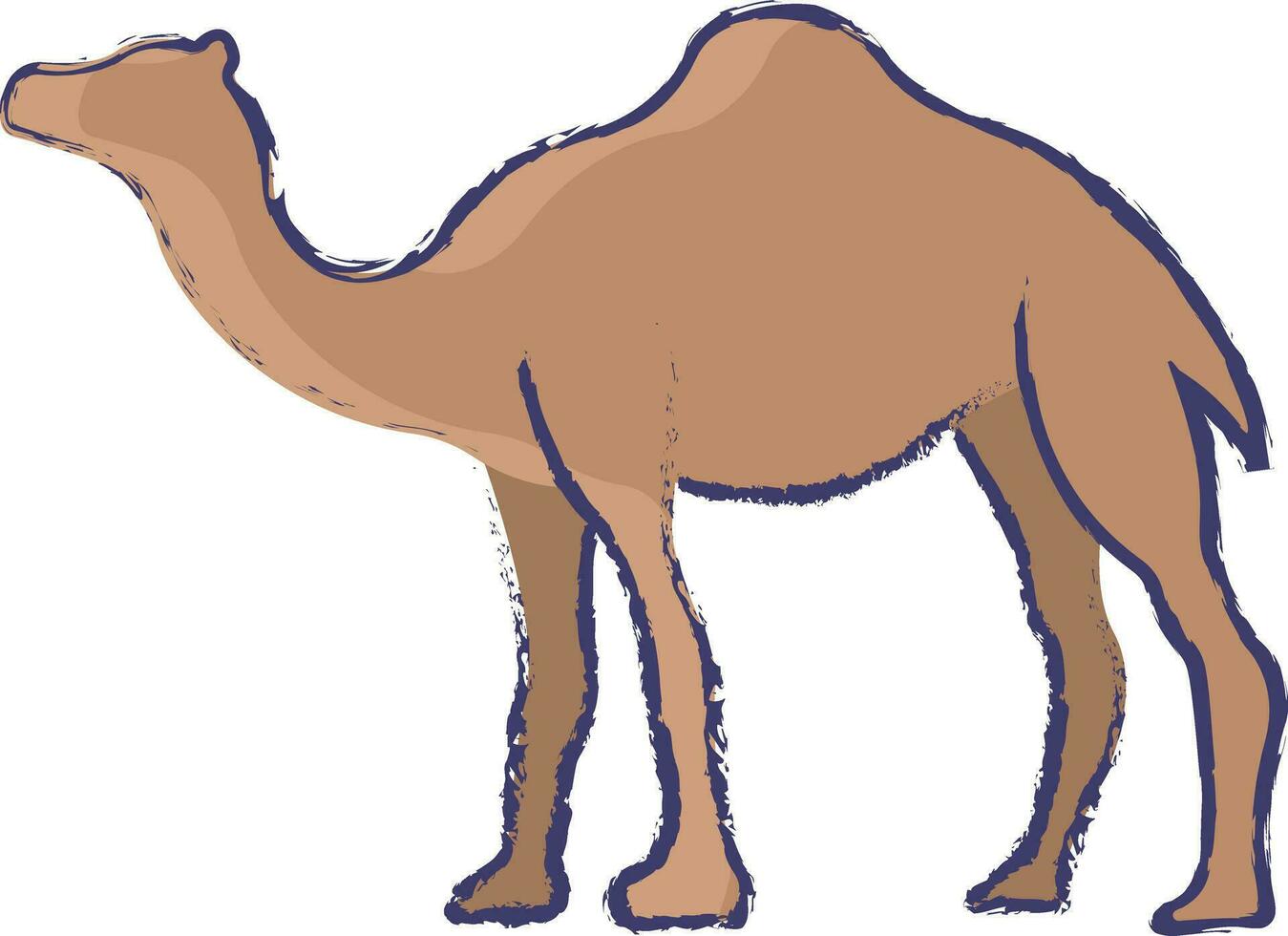 Camel hand drawn vector illustration