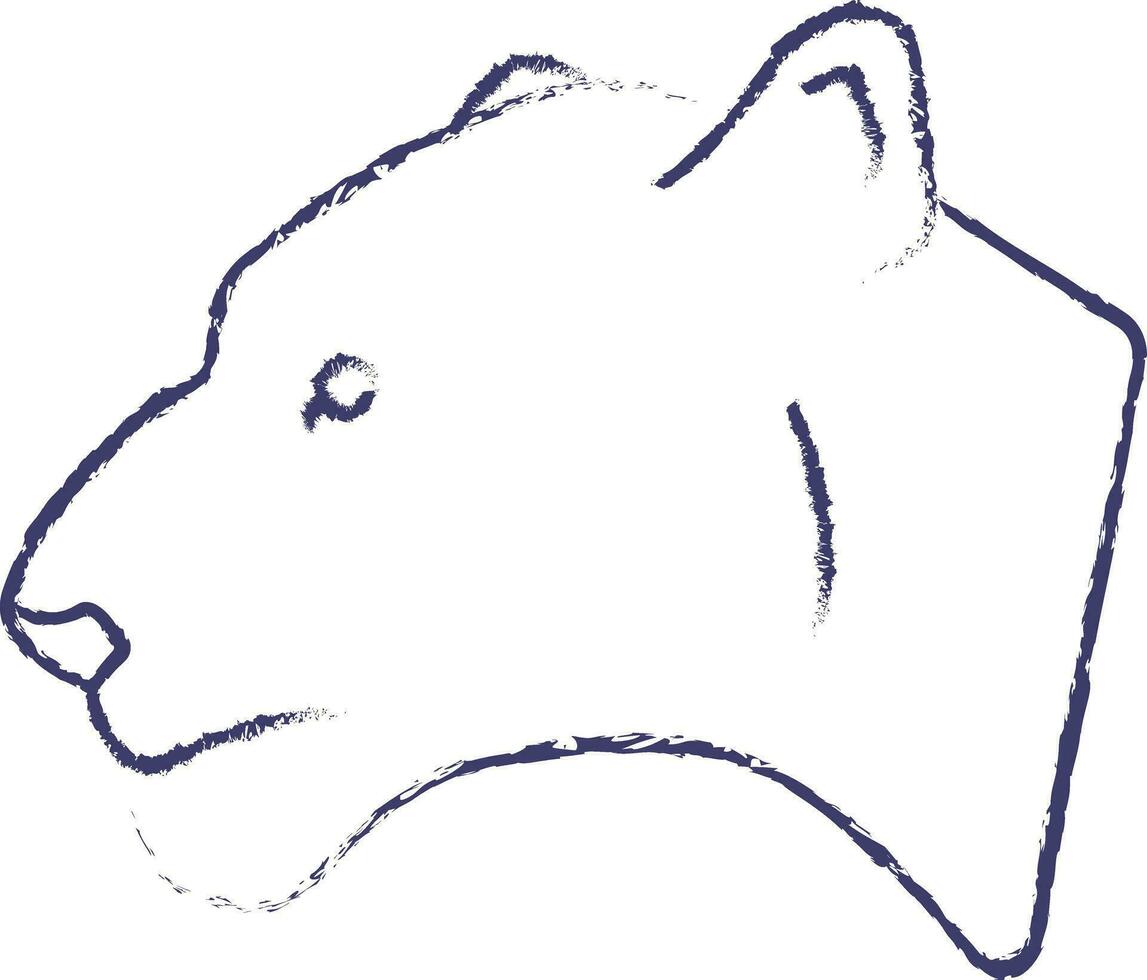 Lioness face hand drawn vector illustration