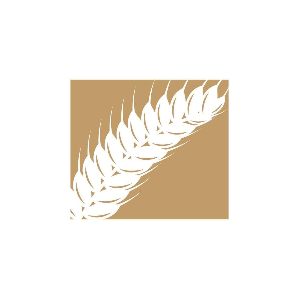 Wheat Logo Grain Design Simple Illustration Template vector