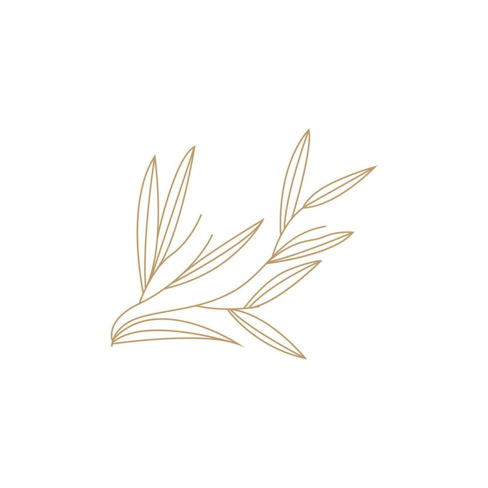 minimalista femenino botánico flor belleza línea planta logo, diseño vector ilustración