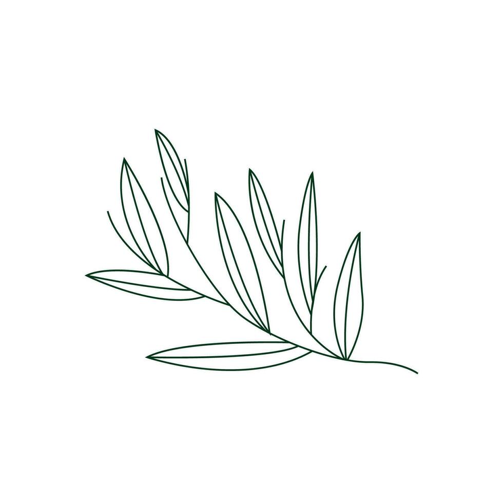 Minimalist Feminine Botanical Flower Beauty Line Plant Logo, Design Vector illustration
