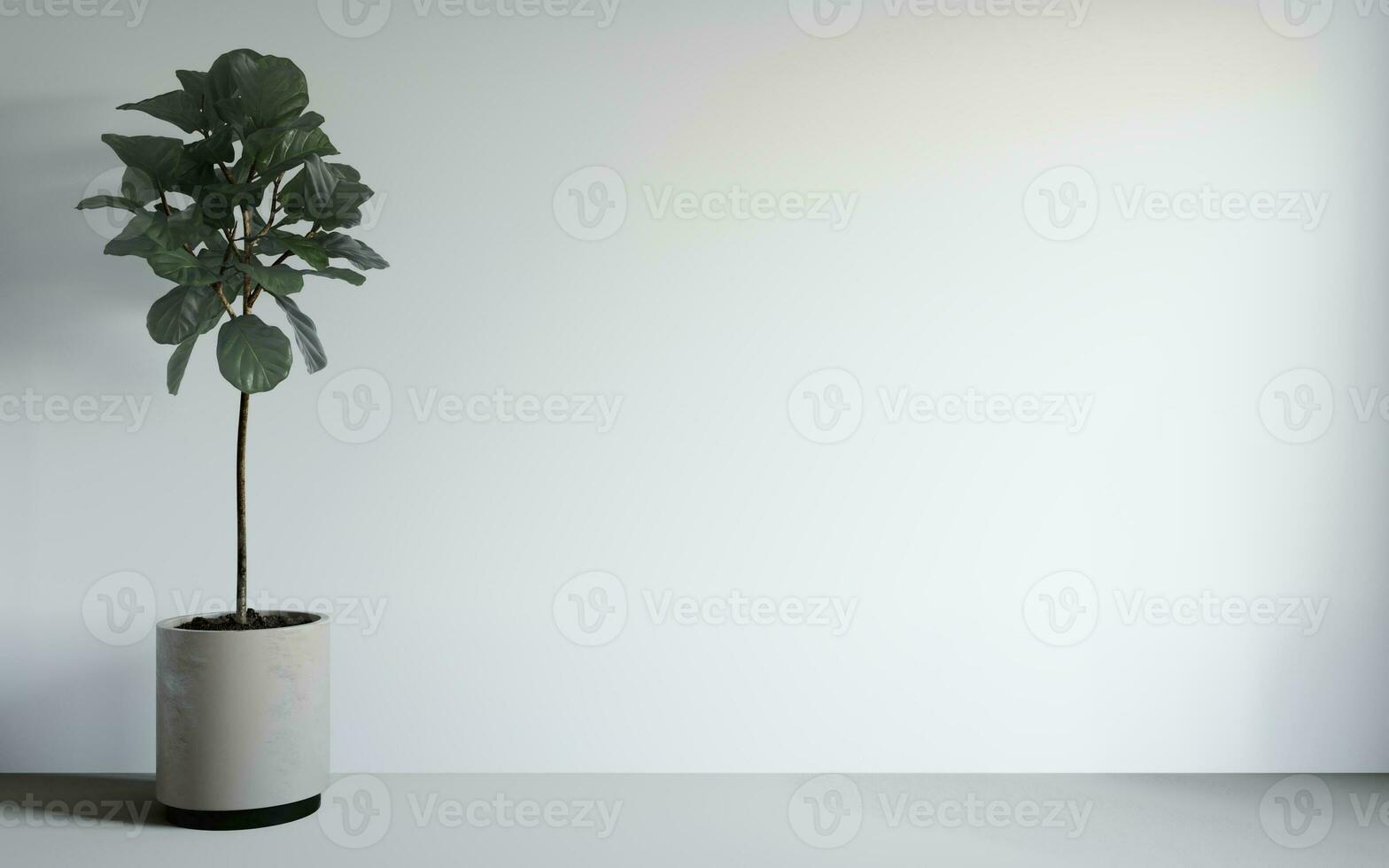 3D illustration of a light room with a potted plant photo