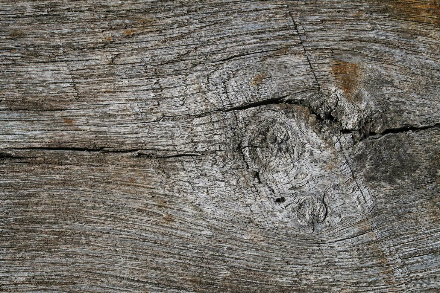 antecedentes antiguo madera tablero con nudo y textura foto