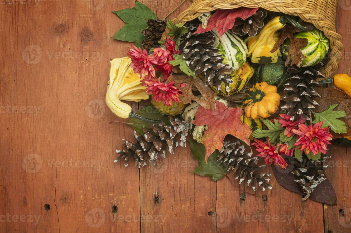 Cornucopia of Gourds and Pinecones on Red Barn Wood photo