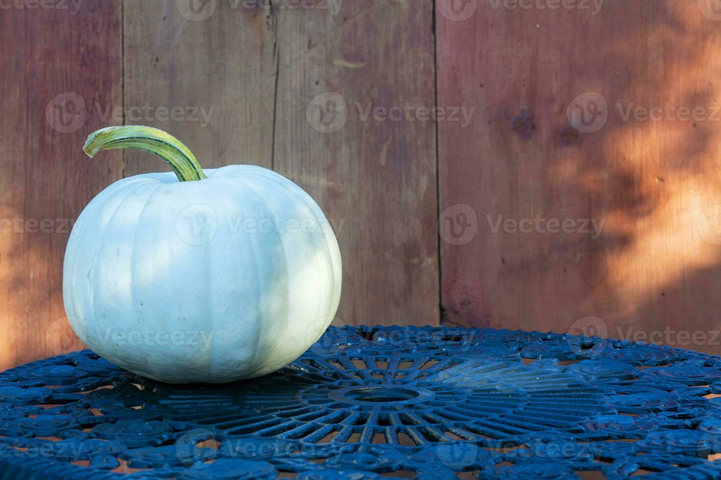 White Pumpkin on a Metal Table in Front of an Old Barn photo