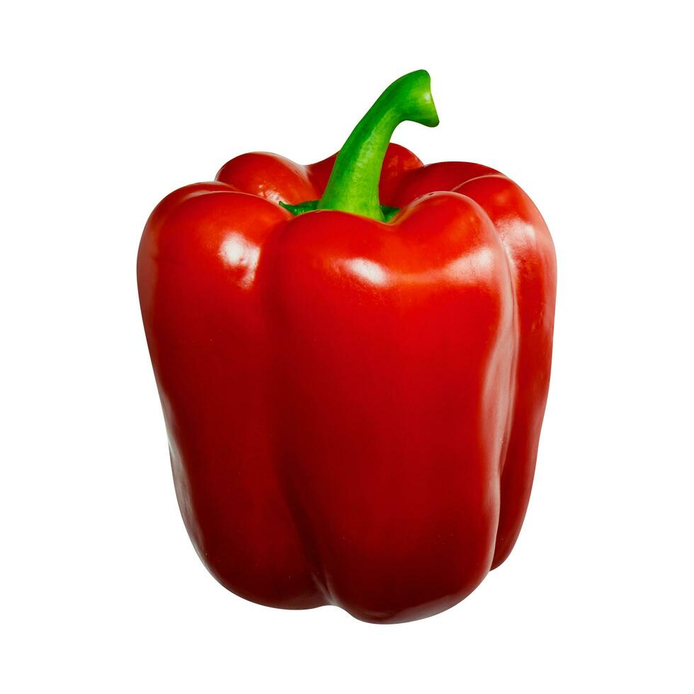 Fresh Red Bell Pepper, Red Capsicum Vegetable, Healthy Red Bell Pepper, Organic Red Pepper Harvest photo