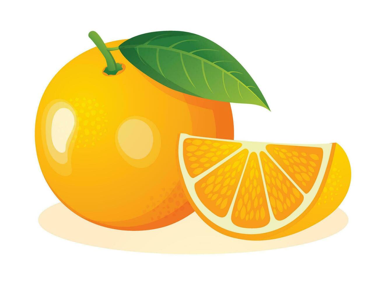 Fresh orange fruit whole and sliced. Vector illustration isolated on white background