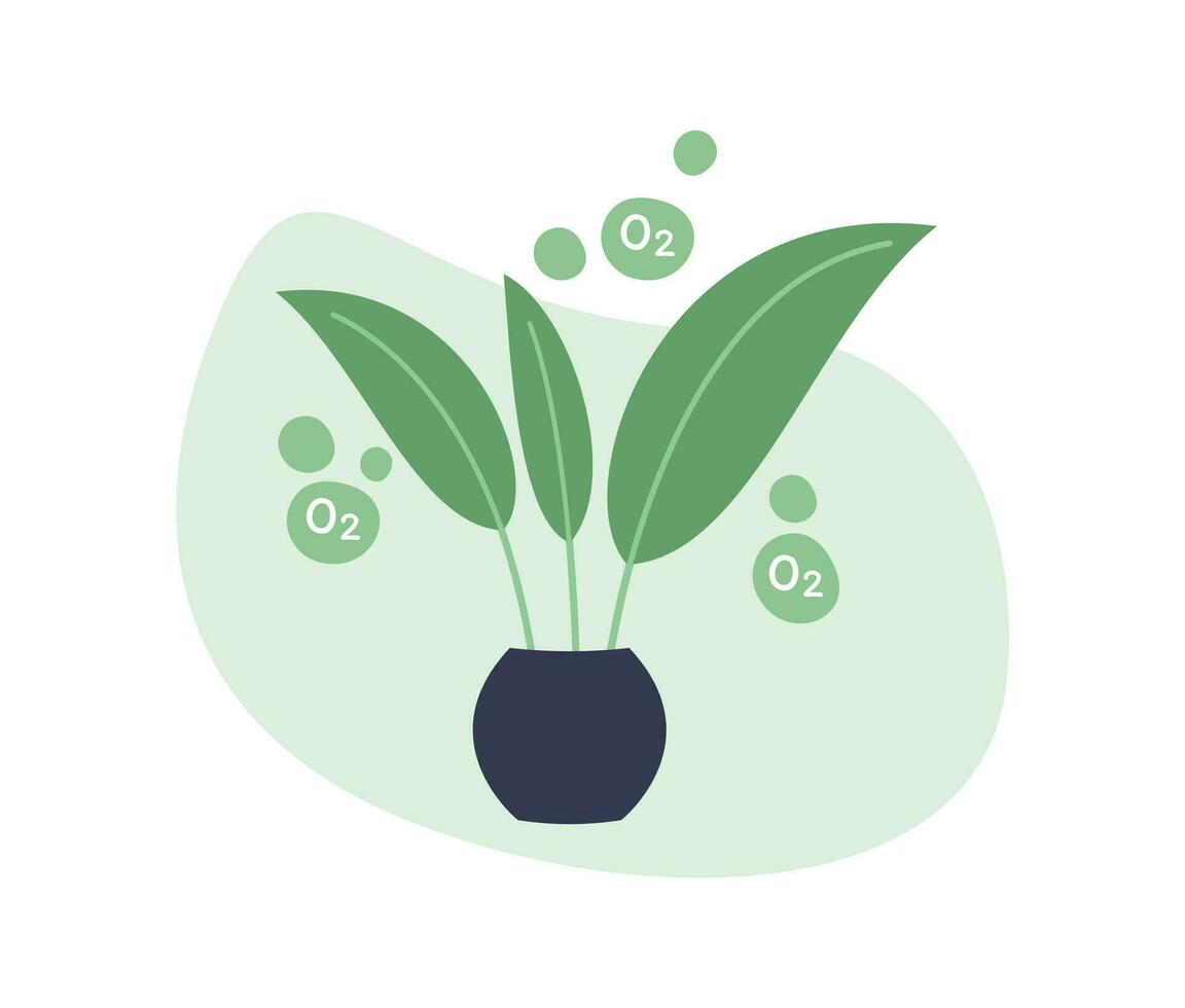 Green Plant in Pots Produce Oxygen O2 Flat Illustration vector