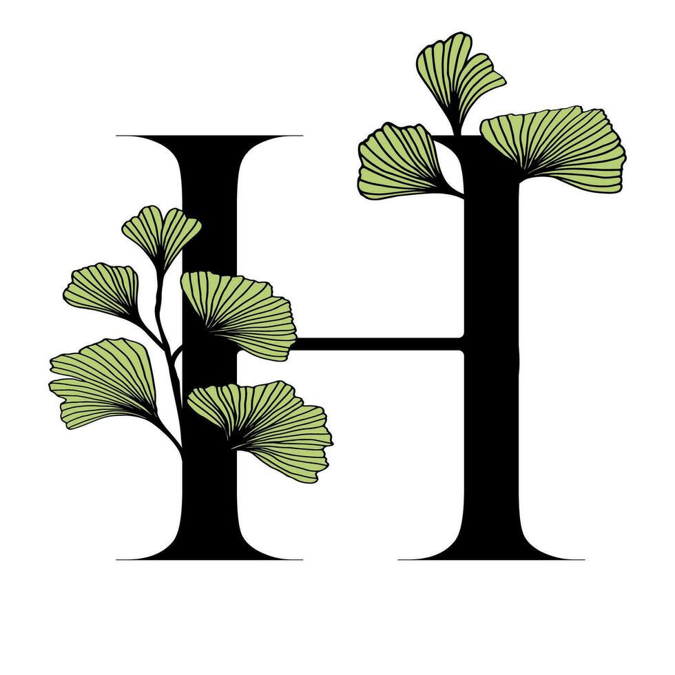 gingko biloba letra h vector