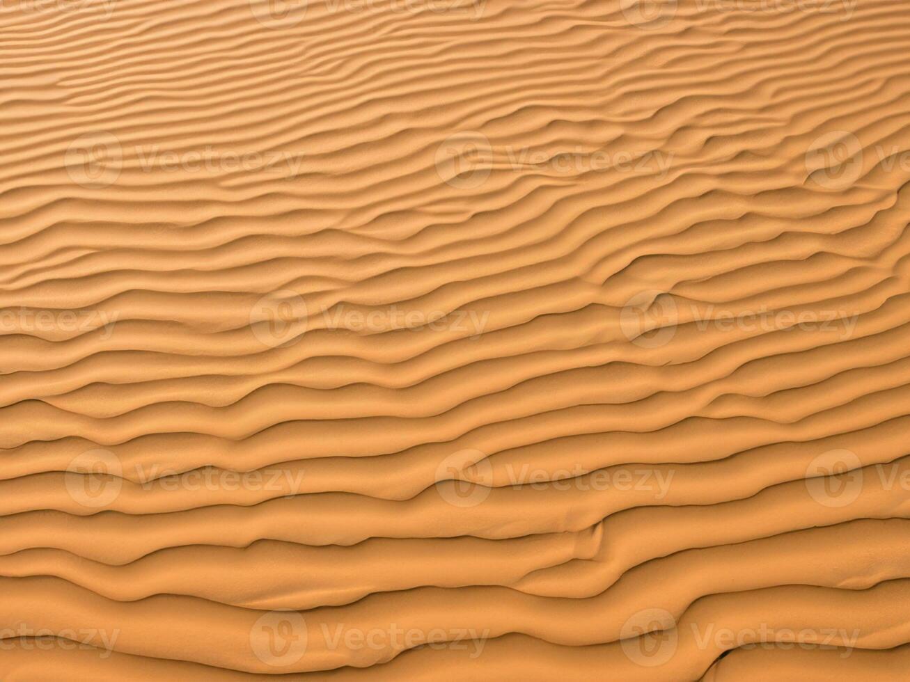 sand dunes of the desert photo