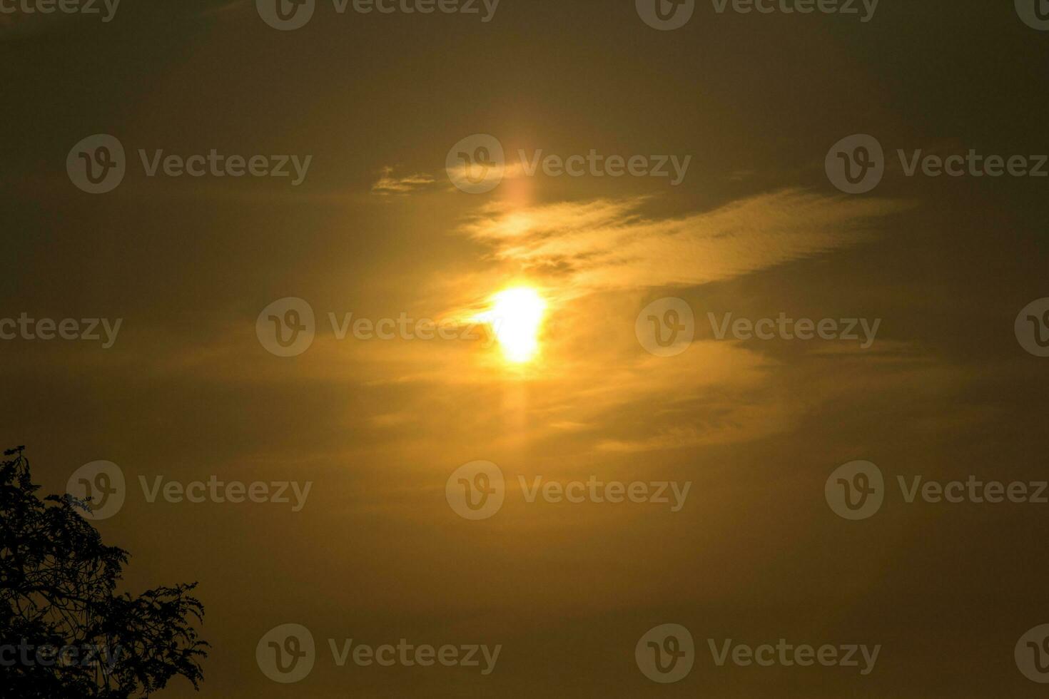 sun is rising-and-set in the morning-evening and the trees are shadowed black - orange sky and clouds. Warm, romantic and gloriously beautiful, it looks warm and travelling. photo