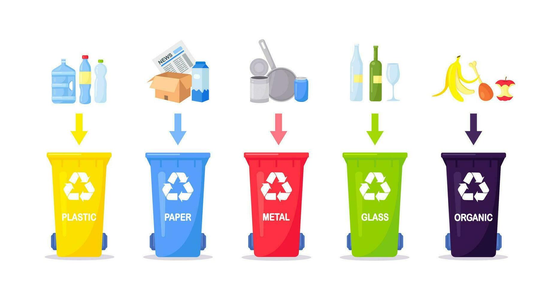 Waste collection, segregation and recycling. Garbage separated into different types and collected into waste containers. Each bin for different material vector