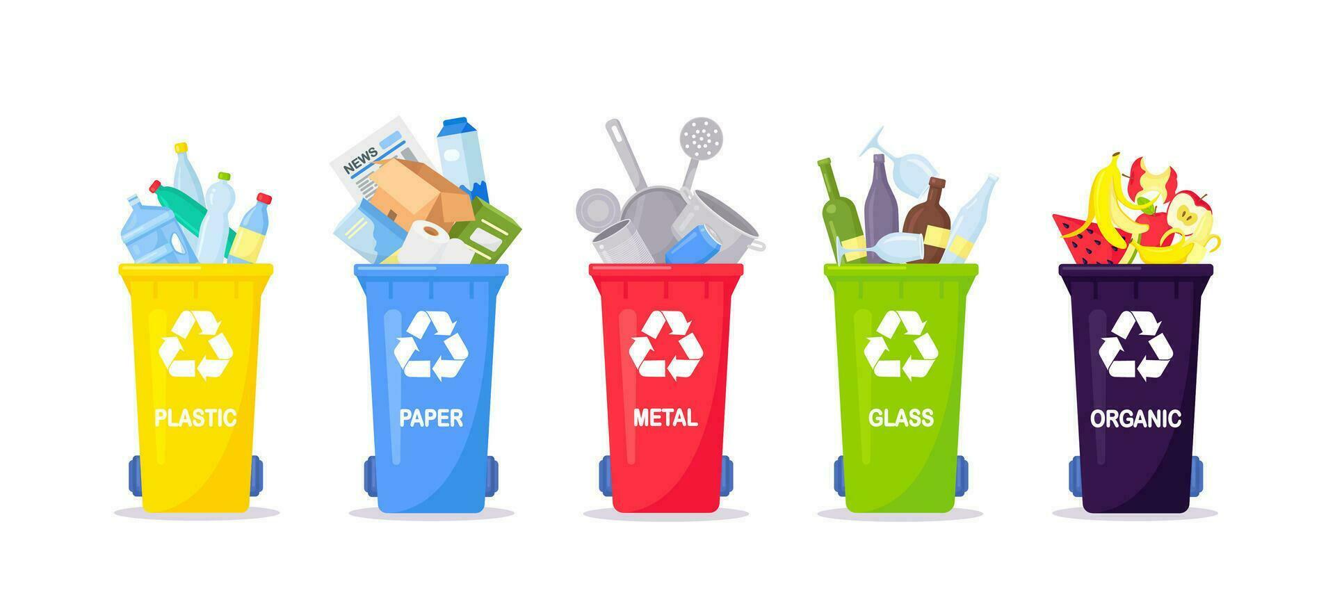 Waste collection, segregation and recycling. Garbage separated into different types and collected into waste containers. Each bin for different material vector