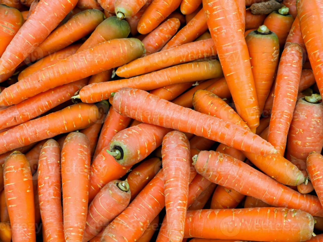 carrots background. fresh vegetables. organic food background photo