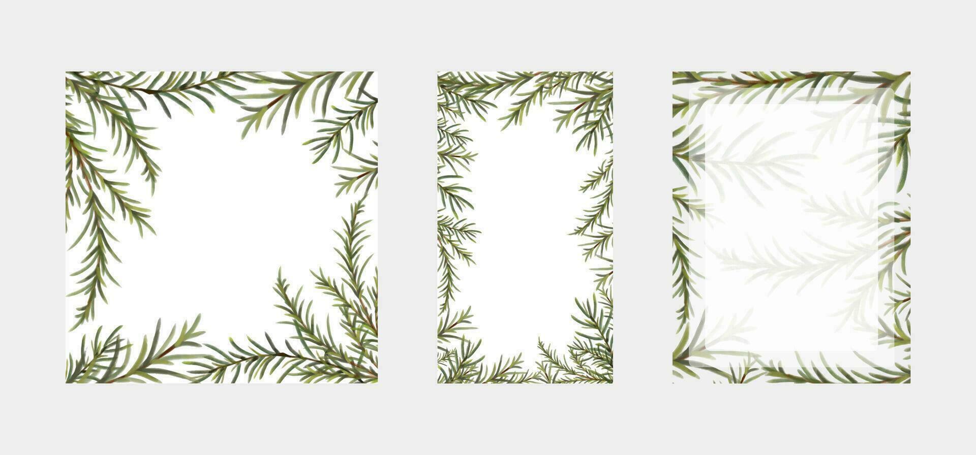 Set of border frames of hand drawn and hand painted watercolor coniferous evergreen tree branches. Square, rectangle and stories background templates for social media. vector