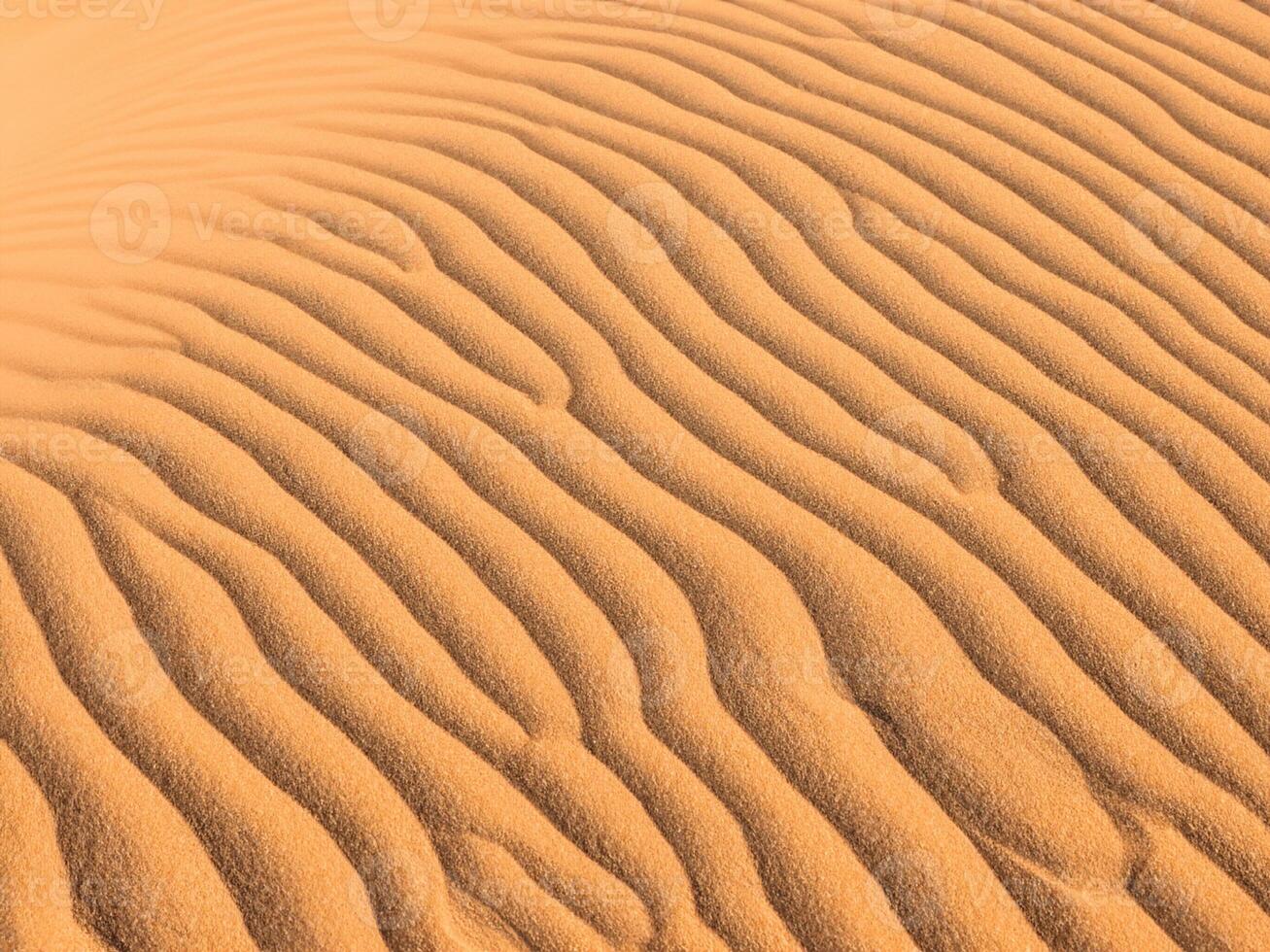 sand dunes of the desert photo