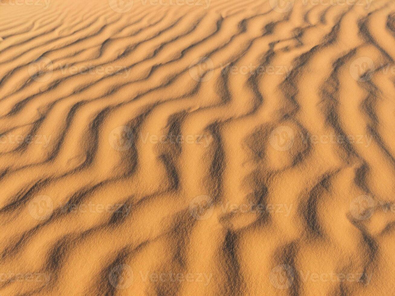 sand dunes of the desert photo